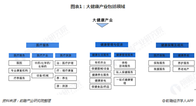 2019年中国大健康产业全景图谱